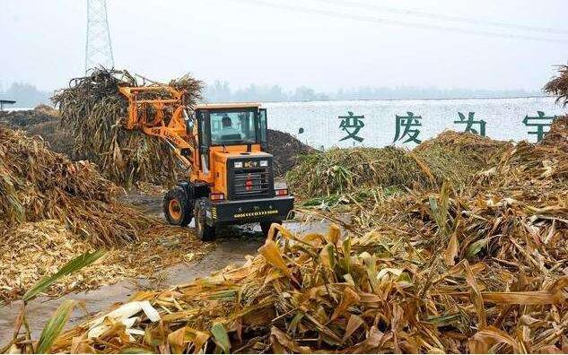 黑龍江秸稈顆粒機原料.jpg